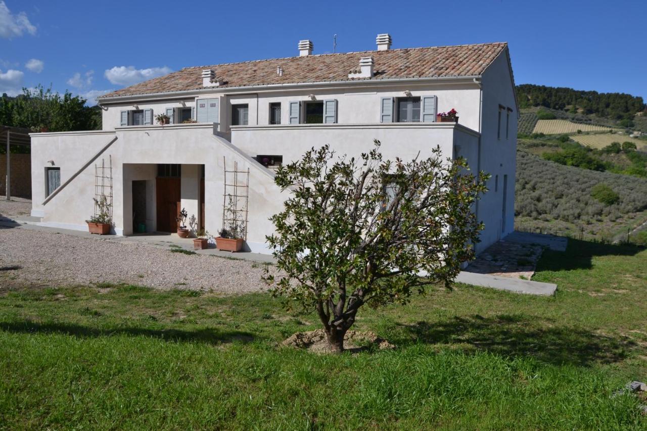 B&B Casale Fonte Vecchia 蒙泰普兰多内 外观 照片