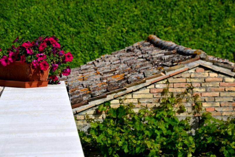 B&B Casale Fonte Vecchia 蒙泰普兰多内 外观 照片