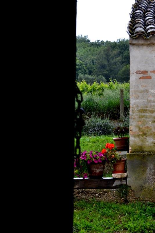 B&B Casale Fonte Vecchia 蒙泰普兰多内 外观 照片