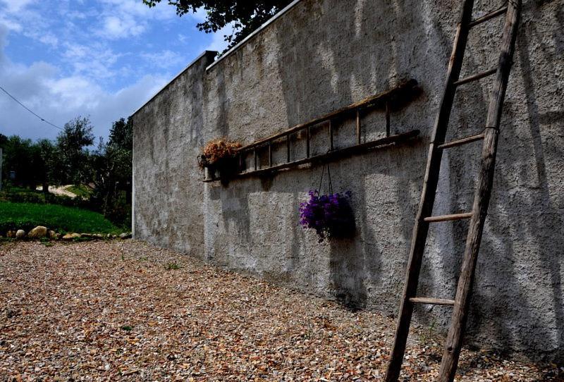 B&B Casale Fonte Vecchia 蒙泰普兰多内 外观 照片